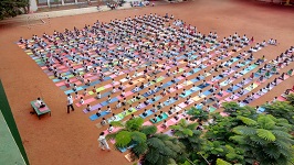 International Yoga-2019thumbnail-yoga.jpg